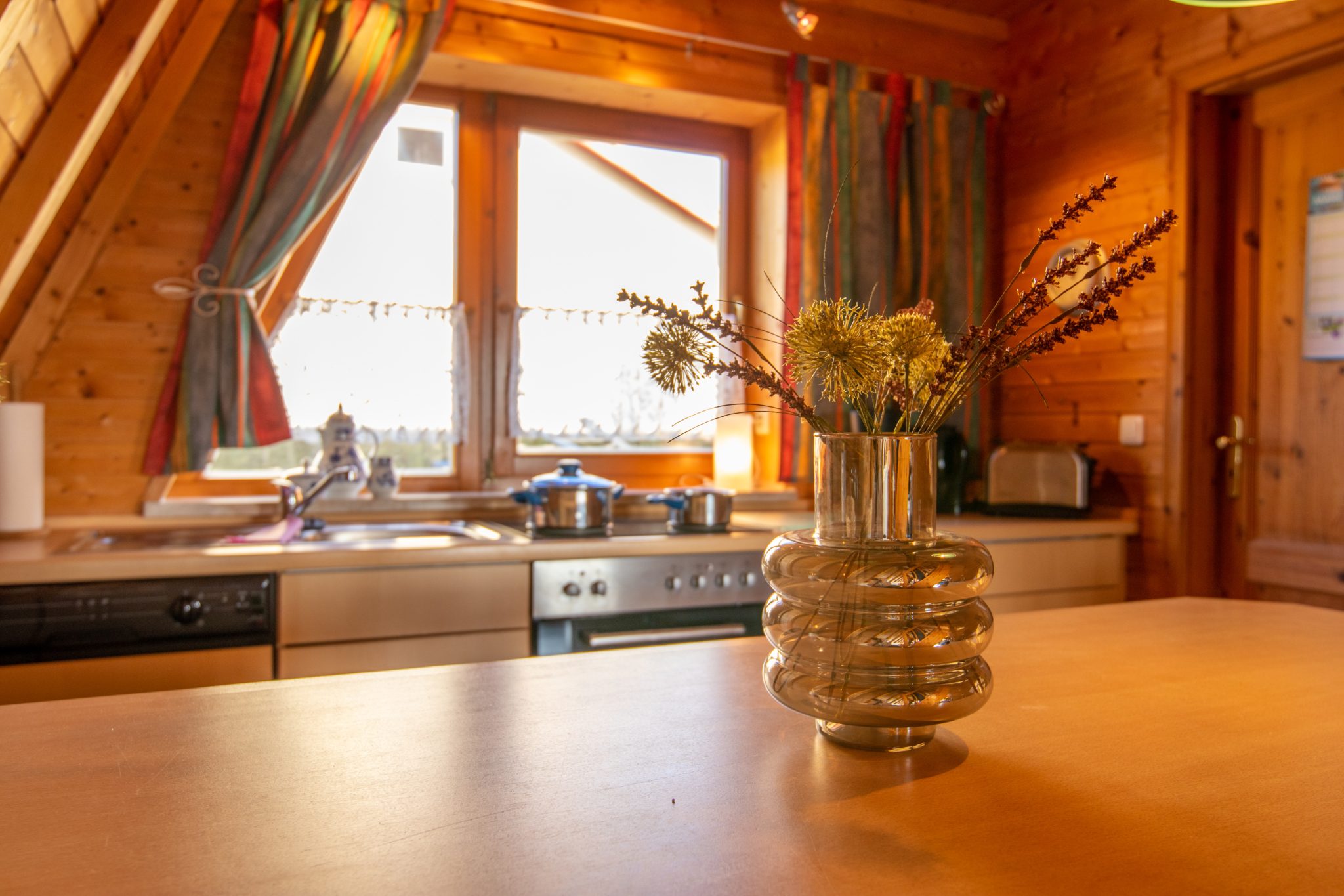 Finnhütte Backbord - offene Küche